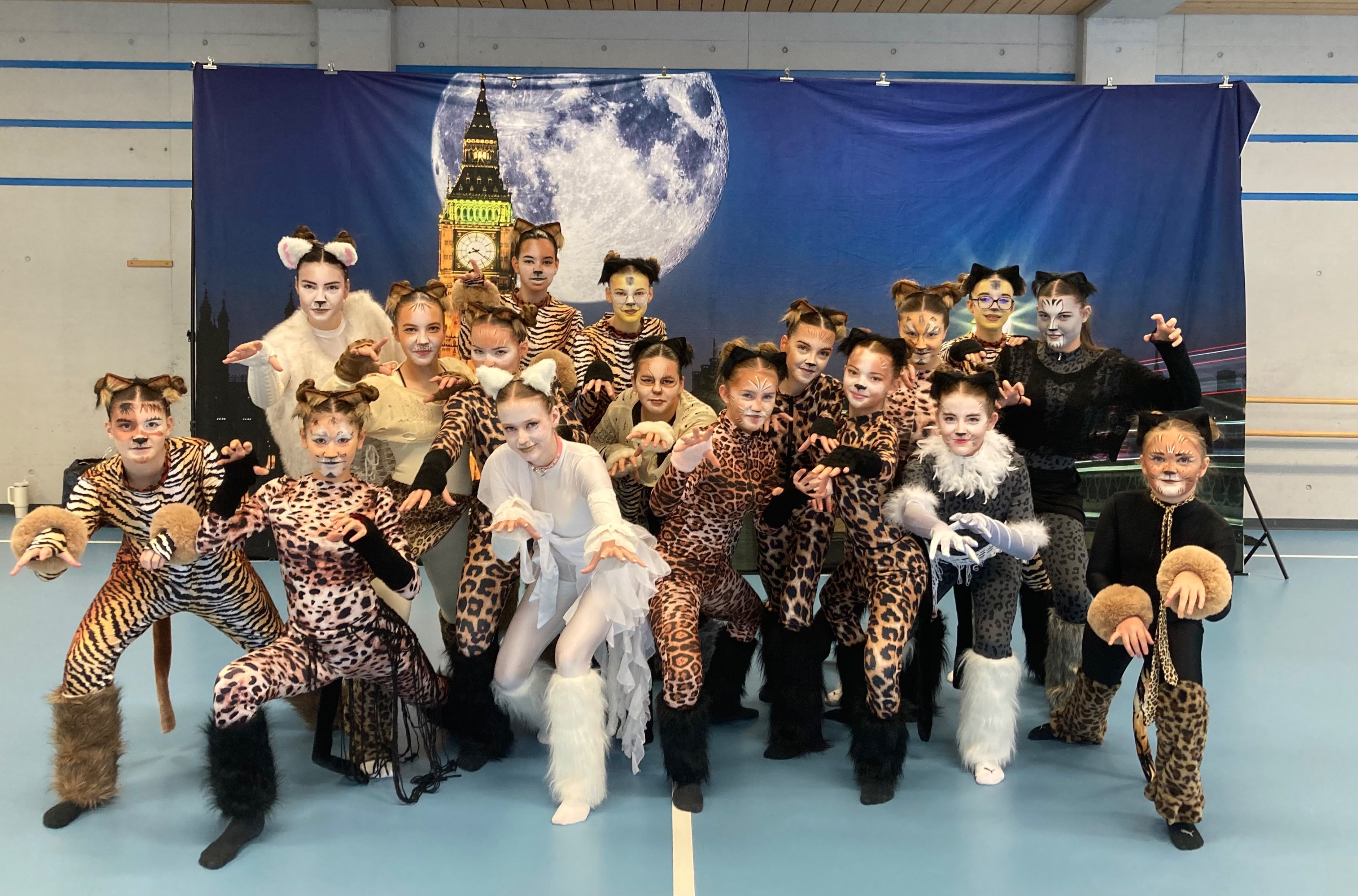 THE CRAZY DANCE COMPANY